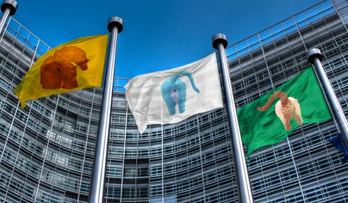 Ana Čigon: Catlands Politics